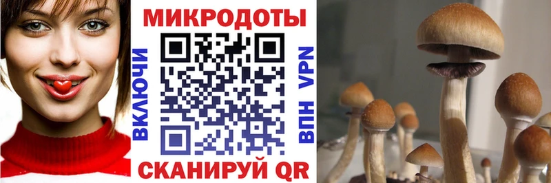 Купить где  Семикаракорск  Галлюциногенные грибы Magic Shrooms 